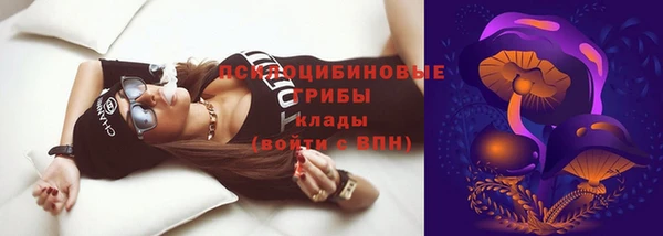 первитин Алексеевка